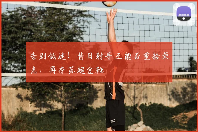 告别低迷!昔日射手王能否重拾荣光,再夺苏超金靴