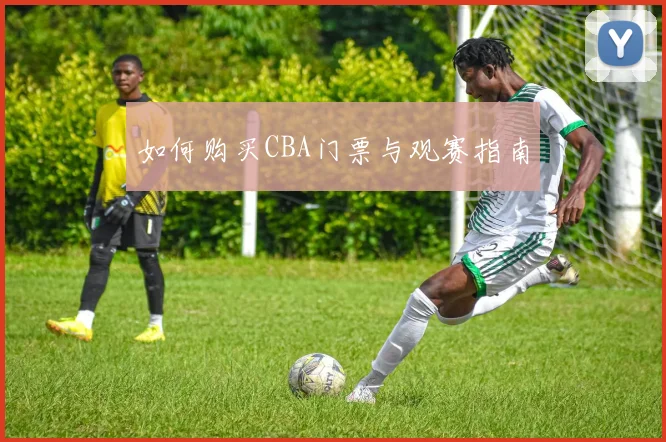 如何购买CBA门票与观赛指南